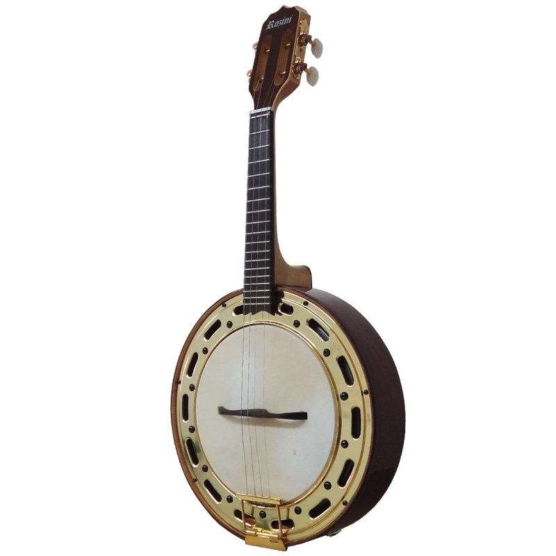 Banjo Profissonal Rozini El Rj-12 Eln