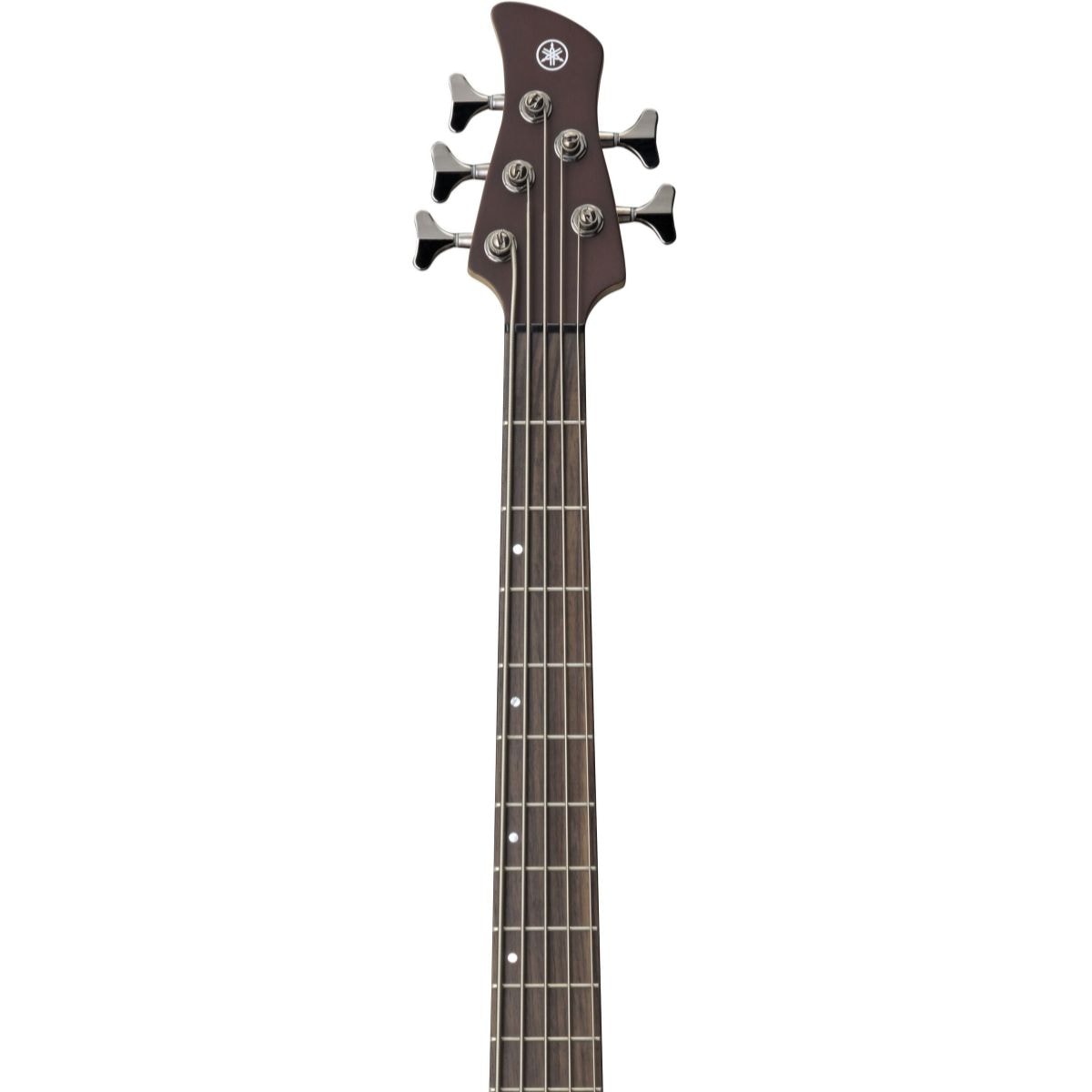 Contrabaixo Yamaha 5 Cordas TRBX 505 - Translucent Brown