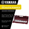 Escaleta P37d Pianica 37 Teclas Bordo com Case