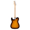 Guitarra American Professional Telecaster Ash Mn Acompanha case Elite Retangular Fender - Sunburst (2-color Sunburst) (303)