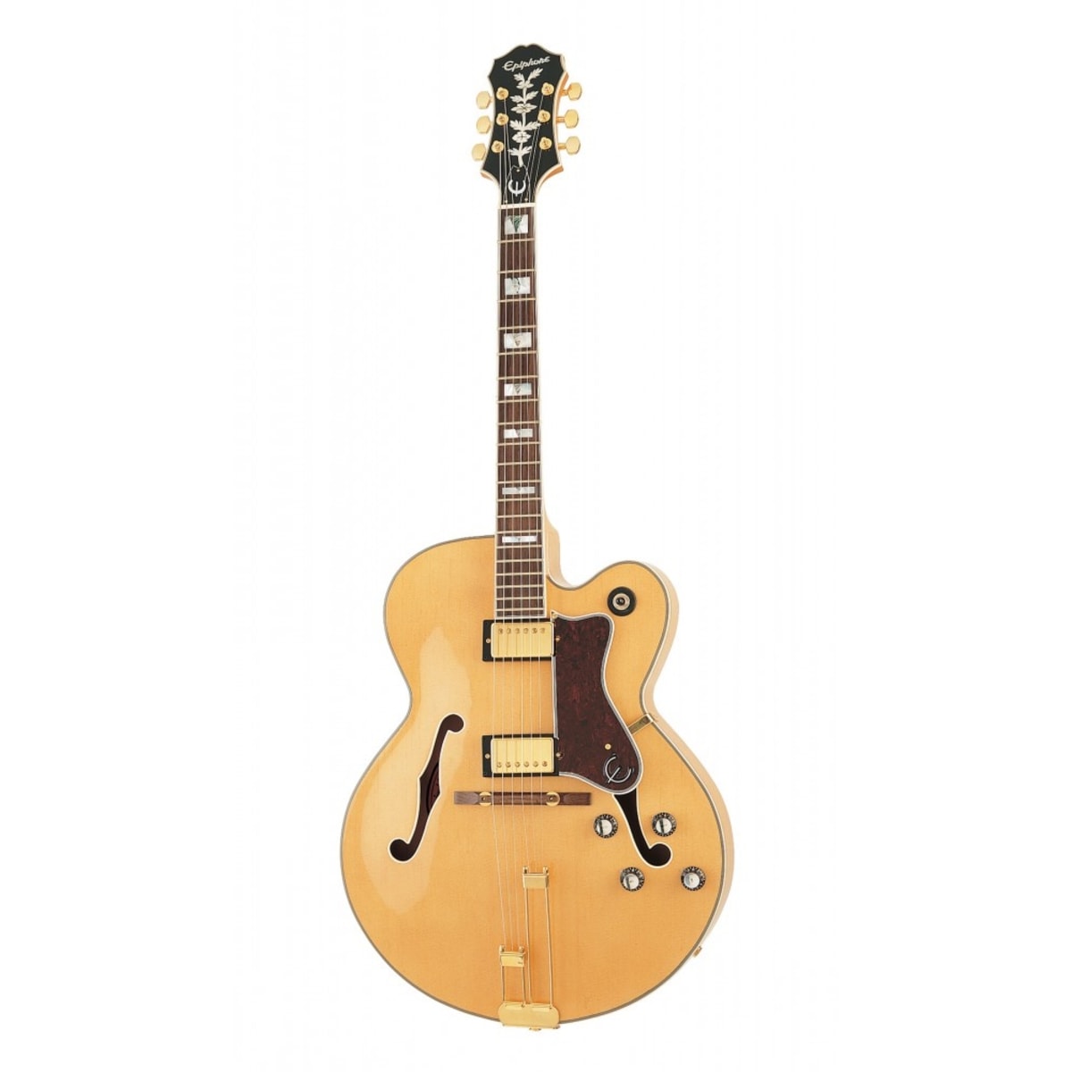 epiphone broadway case