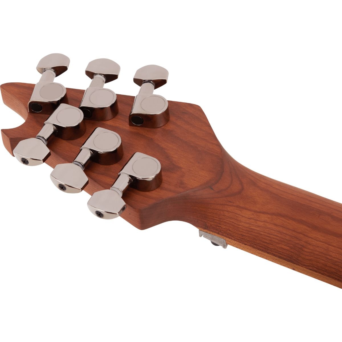 Guitarra EVH Wolfgang Standard Exotic Bocote