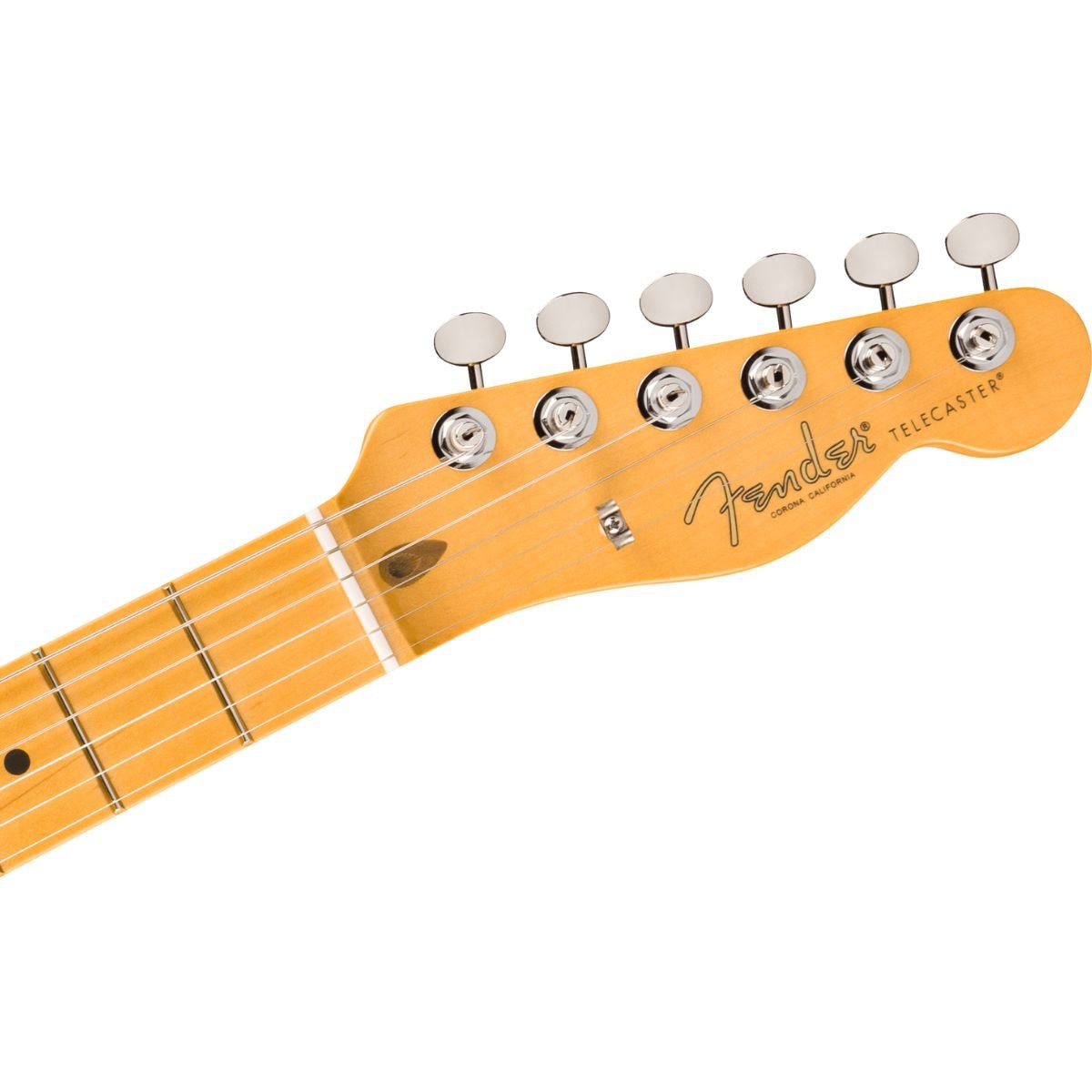 Guitarra Telecaster Signature Series Richie Kotzen