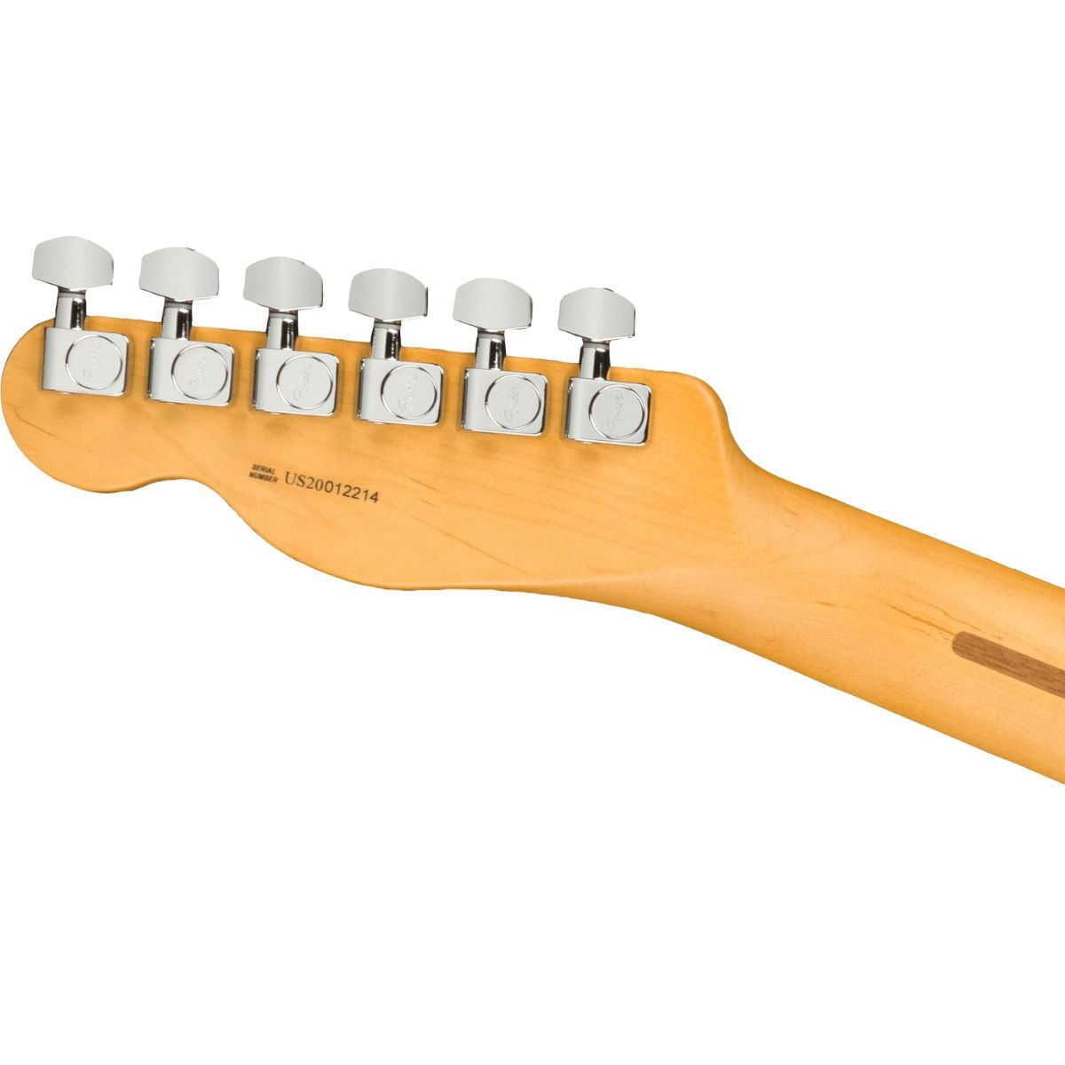 342856-7.jpg?w=800&h=800&v=