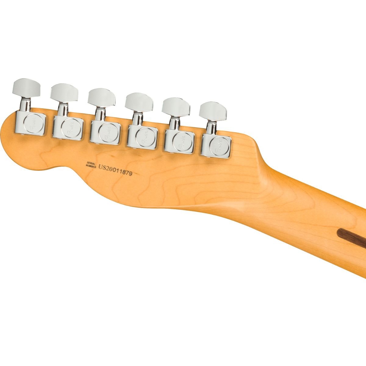 342858-7.jpg?w=800&h=800&v=