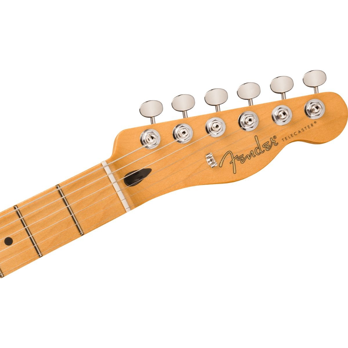 ギター Fender modern player thinline Telecaster 343969-7.jpg?w=800&h=800&v=