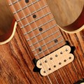 Guitarra RG Series Standard 421 HPAM DiMarzio Air Norton e The Tone Zone Ibanez - Antique Brown (ABL)