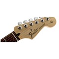 Guitarra Standard Stratocaster