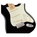Guitarra Stratocaster American Professional MN com Case Fender - Preto (Black) (706)
