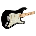 Guitarra Stratocaster American Professional MN com Case Fender - Preto (Black) (706)