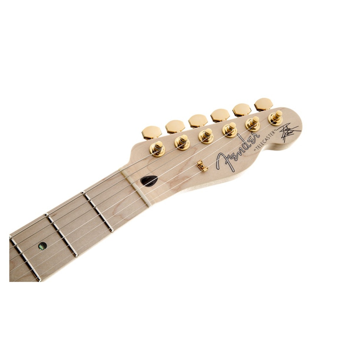 Guitarra Telecaster Signature Series Richie Kotzen