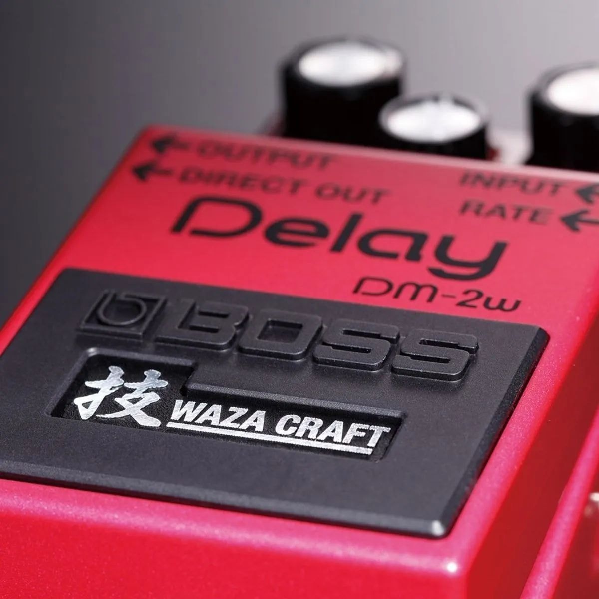 Pedal de Delay Analógico Boss DM-2W Waza Craft
