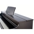 Piano Digital AP470 Celviano Casio - Marrom (Oak) (BN)