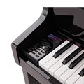 Piano Digital Casio Celviano Grand Hybrid GP-510 - Black Piano (Peça de Showroom)