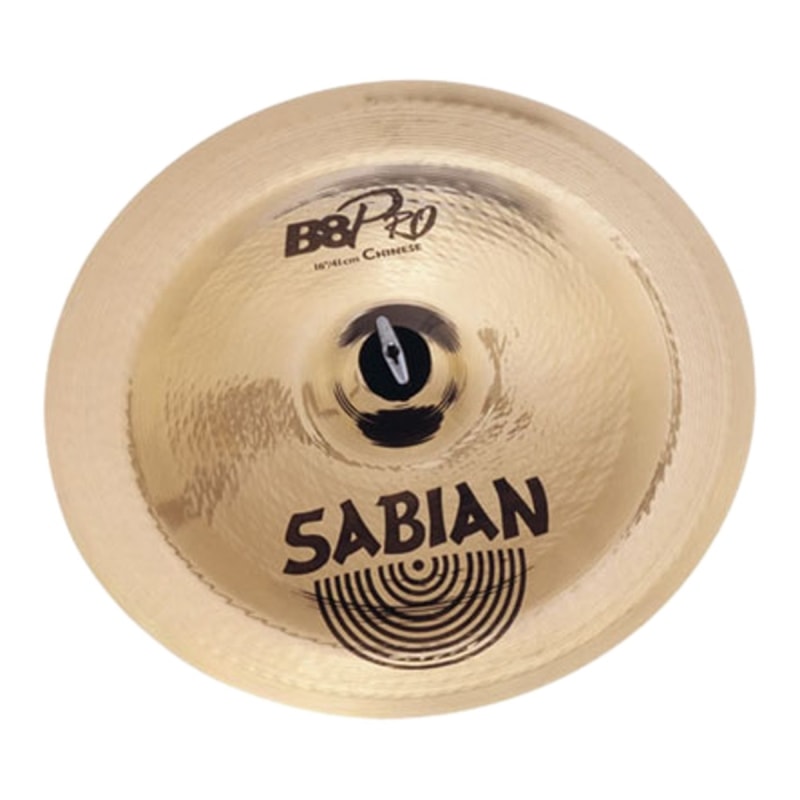 標本 China Yunnan Cetoniinae s.p 23mm Prato Sabian B8 Pro China 18
