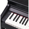 Roland RP701 | Piano Digital