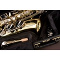 Saxofone Alto SA500 LN Eagle