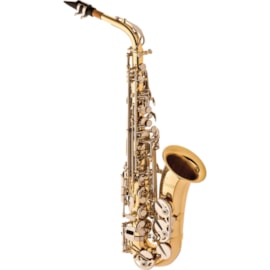 Saxofone Alto SA500 LN Eagle Saxofone Alto SA500 LN Eagle
