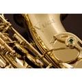 Saxofone Eagle Alto Eb SA501