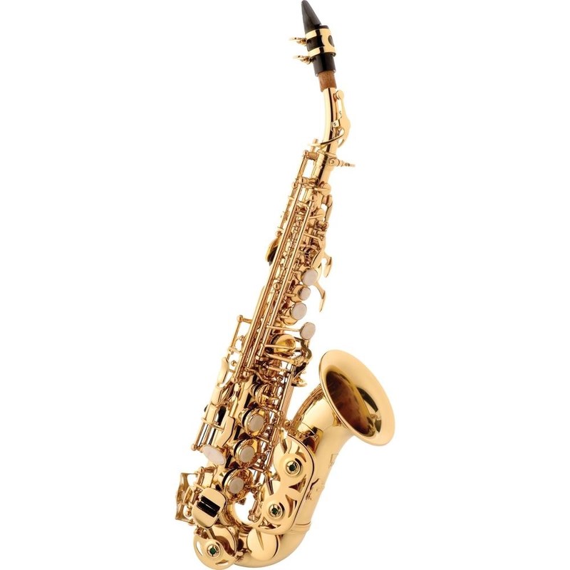 Saxofone Soprano Curvo SP508