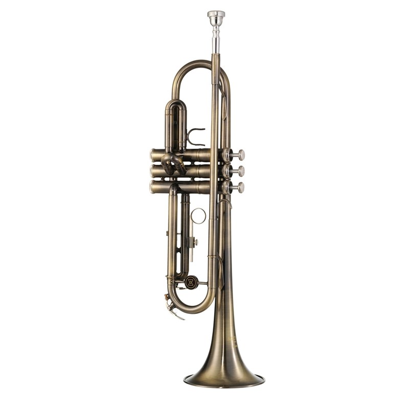 Trompete Escovado WTRM56 BB Michael