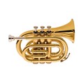 Trompete Pocket em Si Bemol Bb com Hard Case TP520