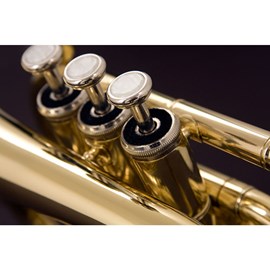 Trompete Pocket em Si Bemol Bb com Hard Case TP520 Eagle