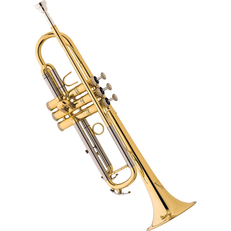 Product main image - 15607b8b-cb39-415c-b157-aa43c2661c48