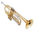 Trompete WTRM66 BB Michael