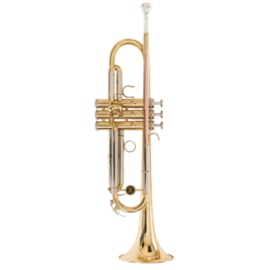 Trompete WTRM66 BB Michael Trompete WTRM66 BB Michael