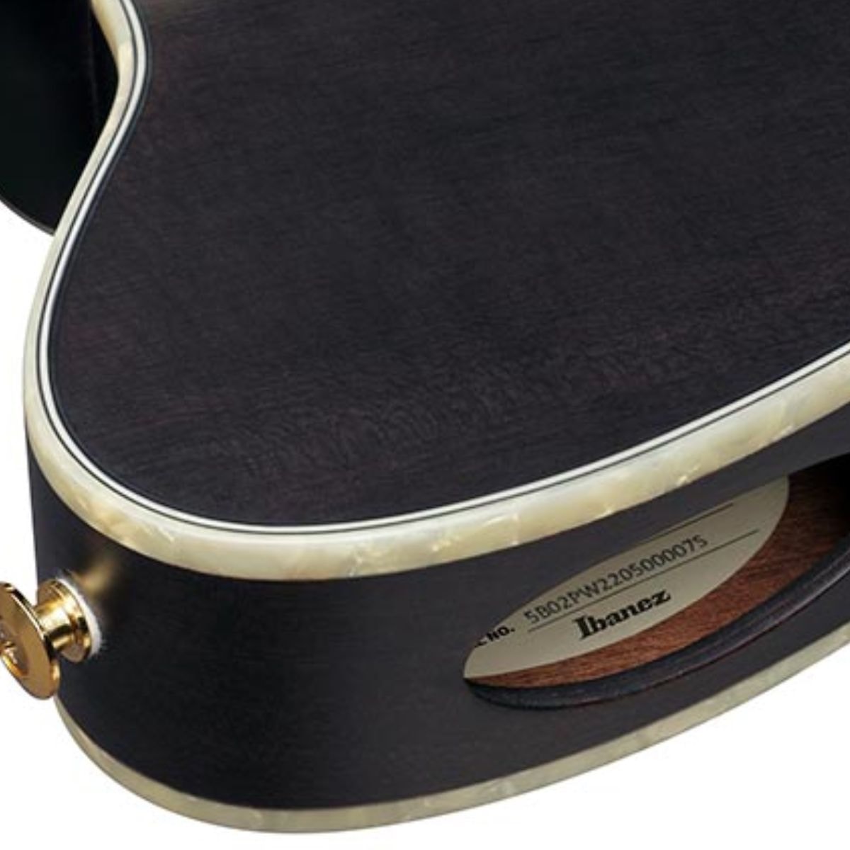 Violão Ibanez Eletroacústico Nylon TOD10N Signature Tim Henson