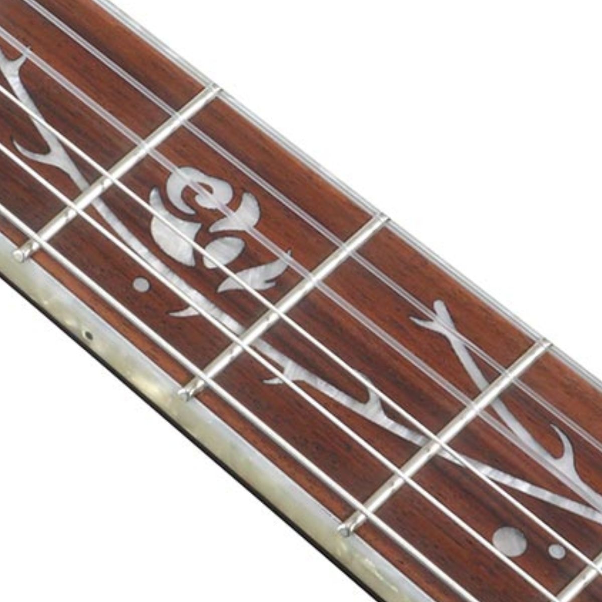 Ibanez TOD10N（Tim Henson シグネチャー / ナイロン） ARTESOM