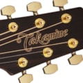 Violão Takamine Eletroacústico Aço GD51CE - Natural