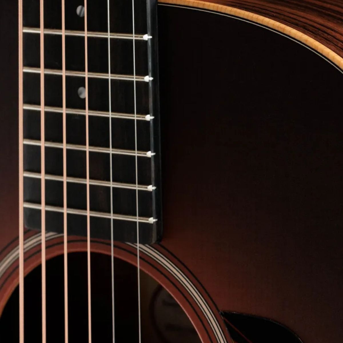 [ケース有] Taylor GS Mini Rosewood 344639-3.jpg?w=800&h=800&v=
