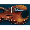Violino 4/4 VK544 Envelhecido com Case