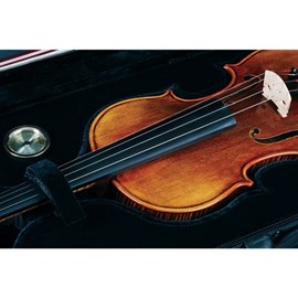 Violino 4/4 VK544 Envelhecido com Case Eagle