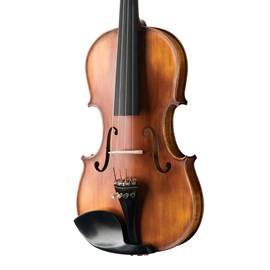 Violino Michael VNM49 4/4 Michael